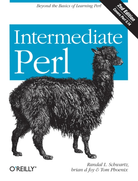 Intermediate Perl Beyond The Basics Of Learning Perl Second Schwartz