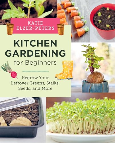 Kitchen Gardening For Beginners Regrow Your Leftover Greens Stalks Seeds And More Katie Elzerpeters