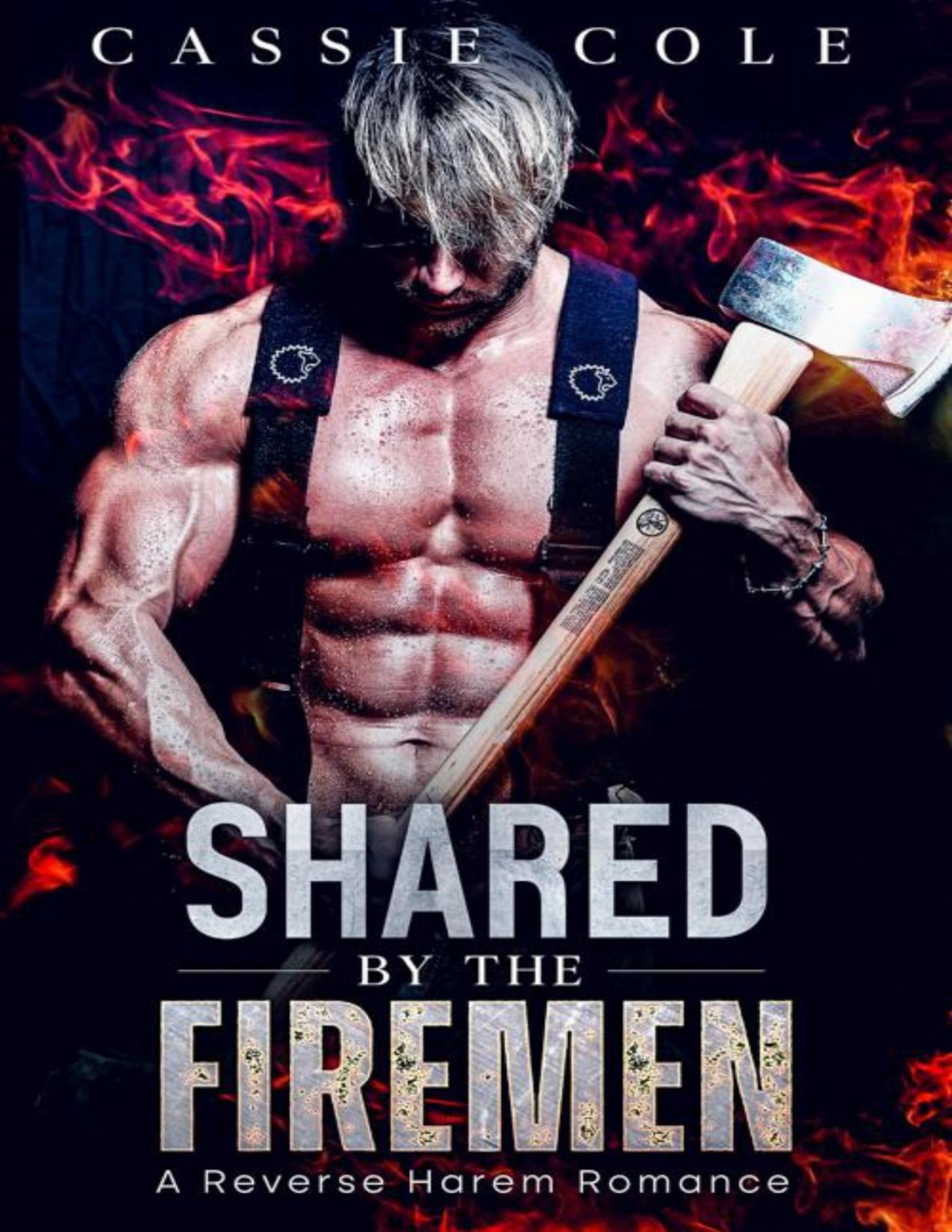 Shared By The Firemen 1st Edition Cassie Cole