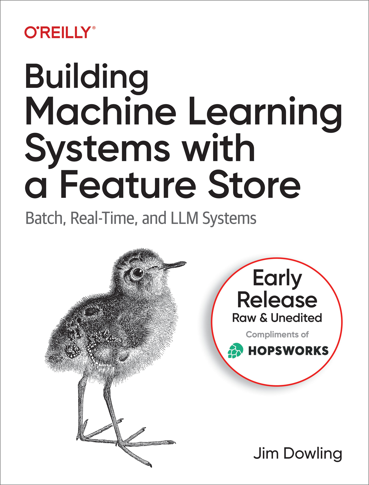 Building Machine Learning Systems With A Feature Store Batch Realtime And Llm Systems Early Release Early Edition Jim Dowling