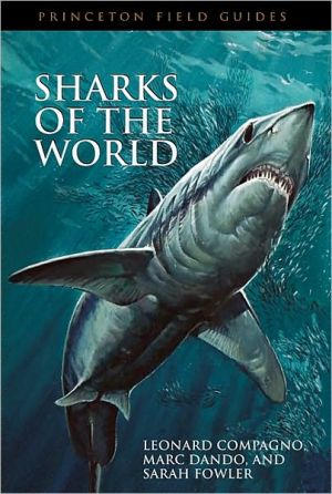 Sharks Of The World Princeton Field Guides 34 Illustrated Compagno
