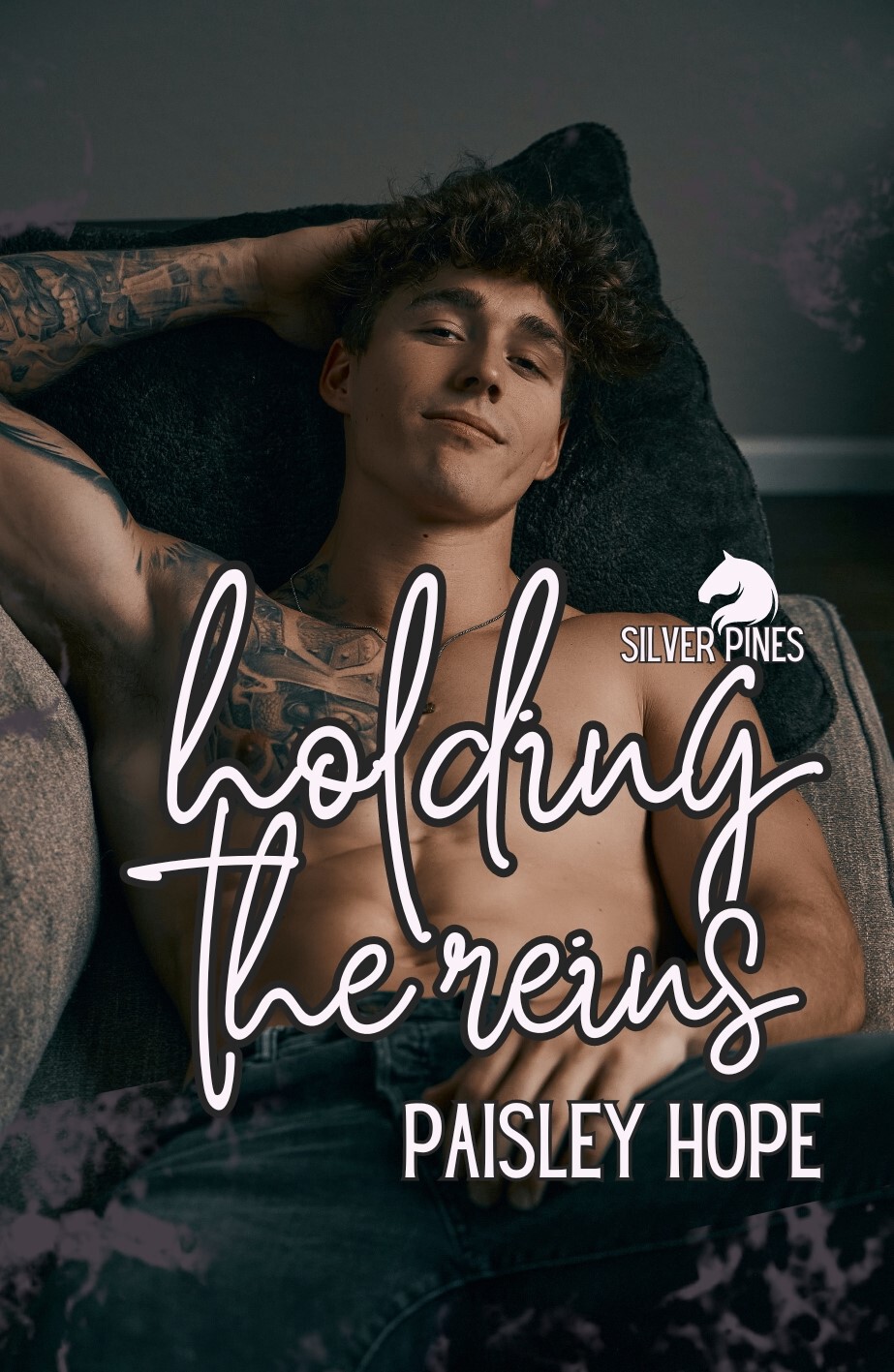 Holding The Reins Small Town Brothers Best Friend Romance Paisley Hope