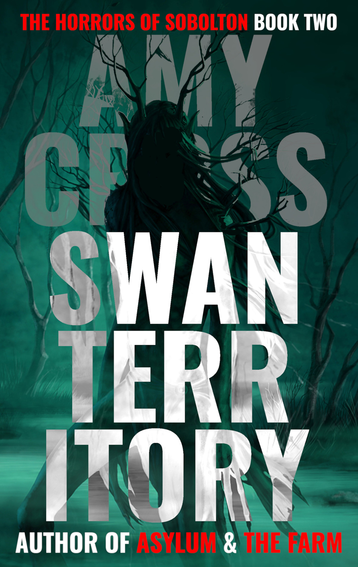 Swan Territory The Horrors Of Sobolton Book 2 Amy Cross