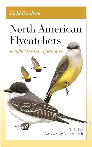 Field Guide To North American Flycatchers Kingbirds And Myiarchus Lee