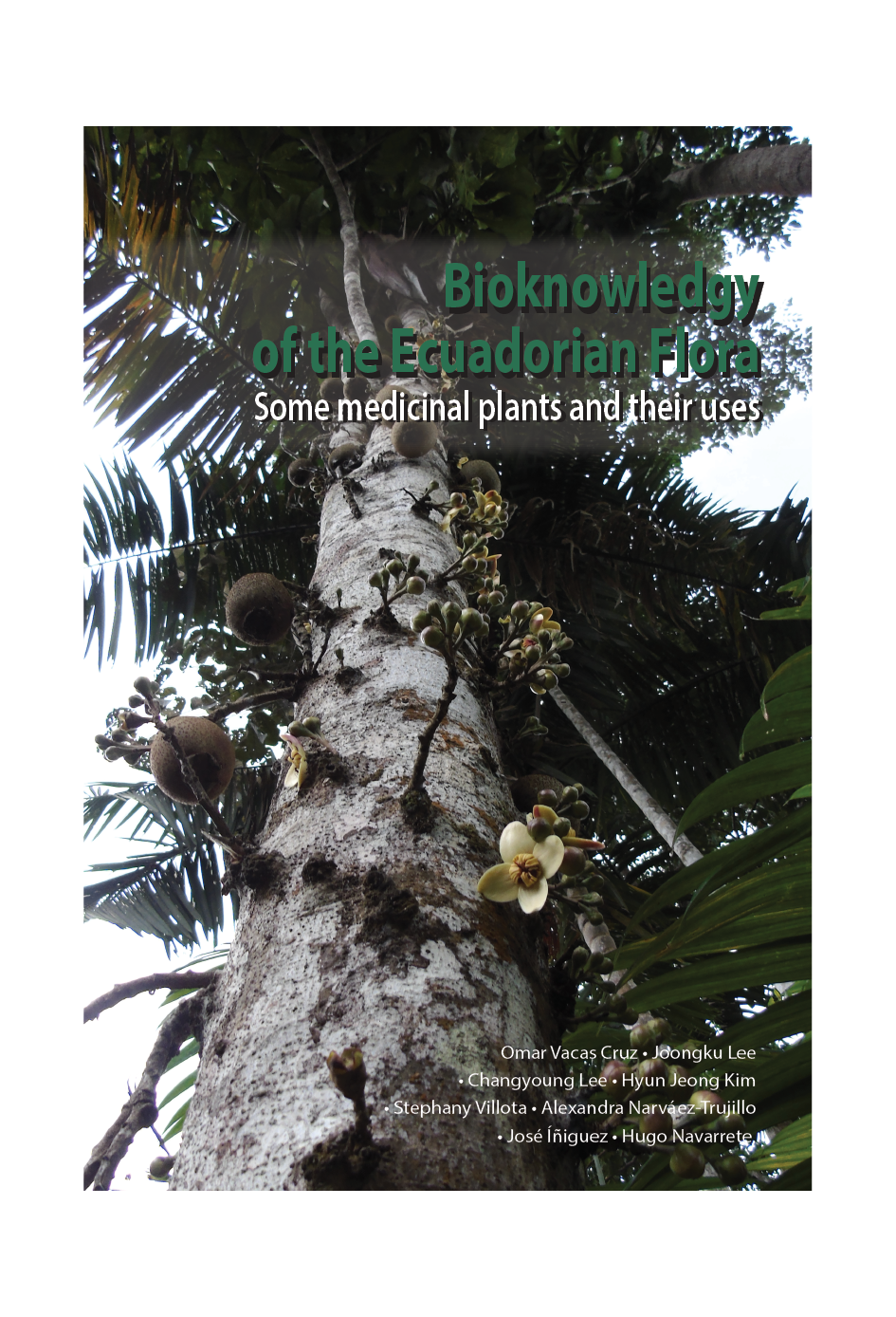 Bioknowledgy Of The Ecuadorian Flora Some Medicinal Plants And Their Uses Varios Autores