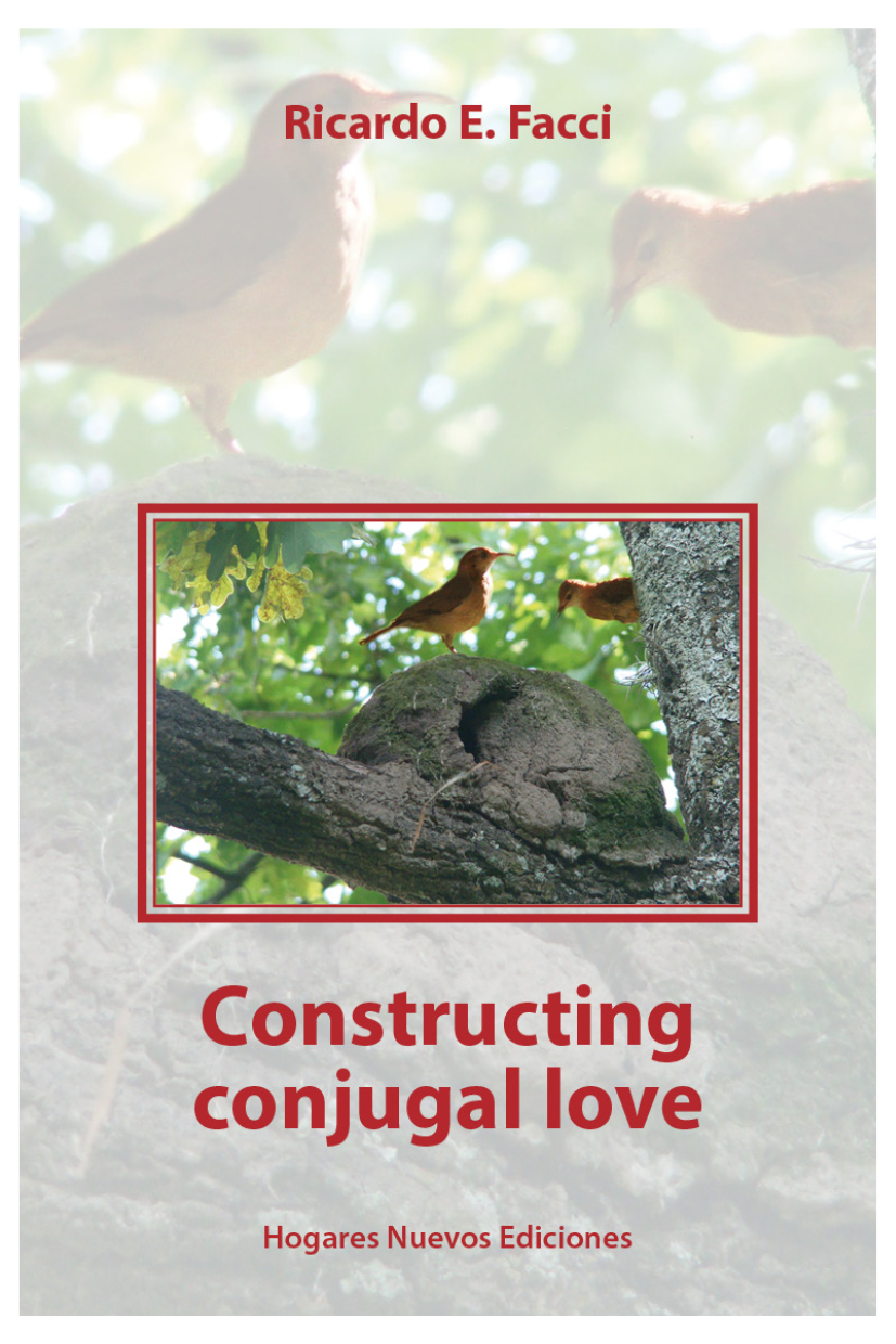 Constructing Conyugal Love Ricardo E Facci