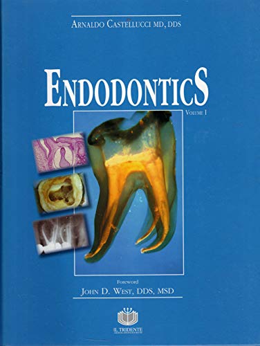 Endodontics Arnaldo Castellucci Md Dds
