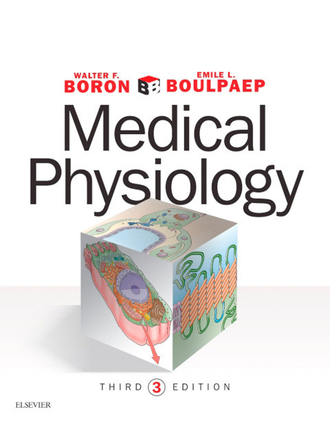 Medical Physiology 3rd Edition Boron Md Phd Walter F Boulpaep Md