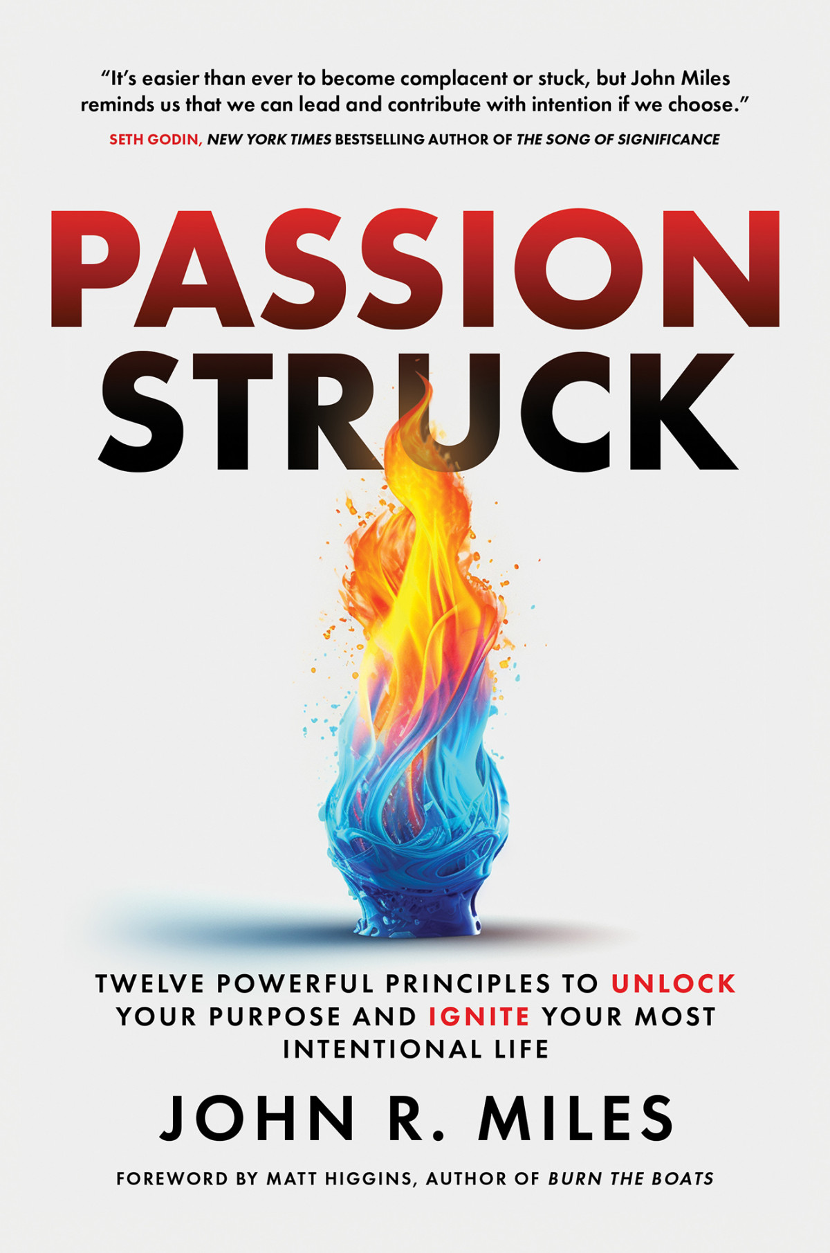 Passion Struck Twelve Powerful Principles To Unlock Your Purpose And Ignite Your Most Intentional Life John R Miles