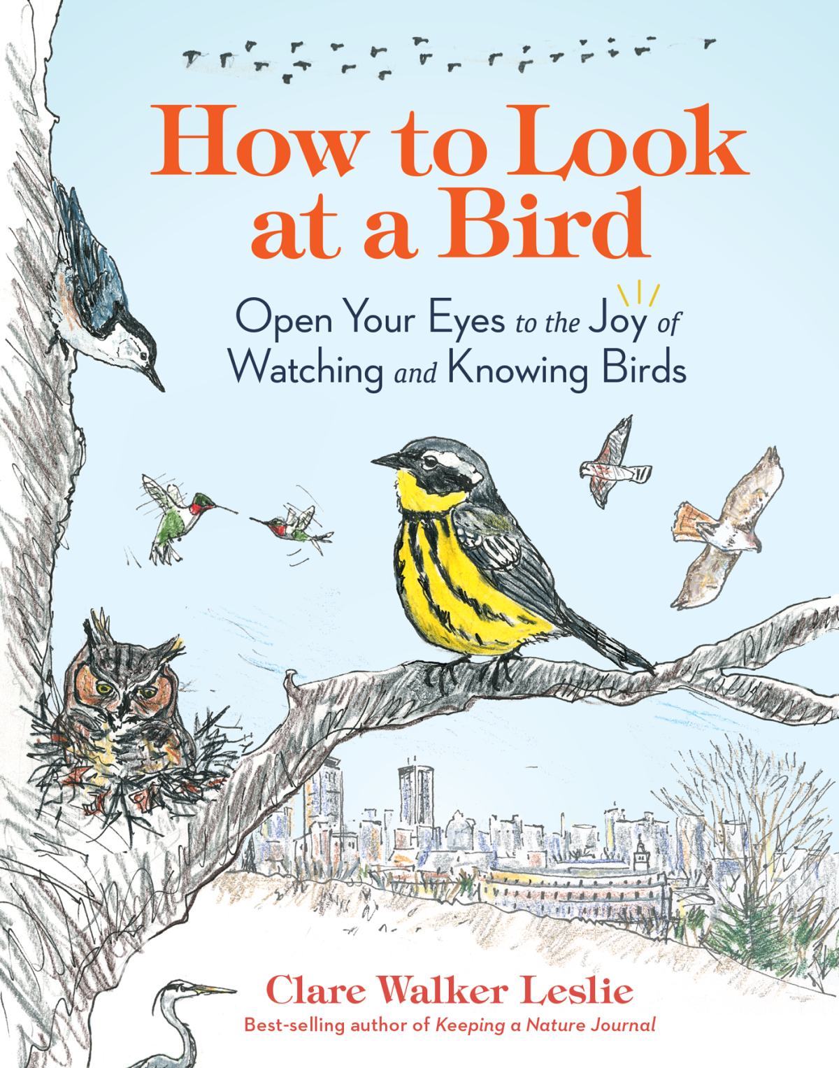 How To Look At A Bird Clare Walker Leslie