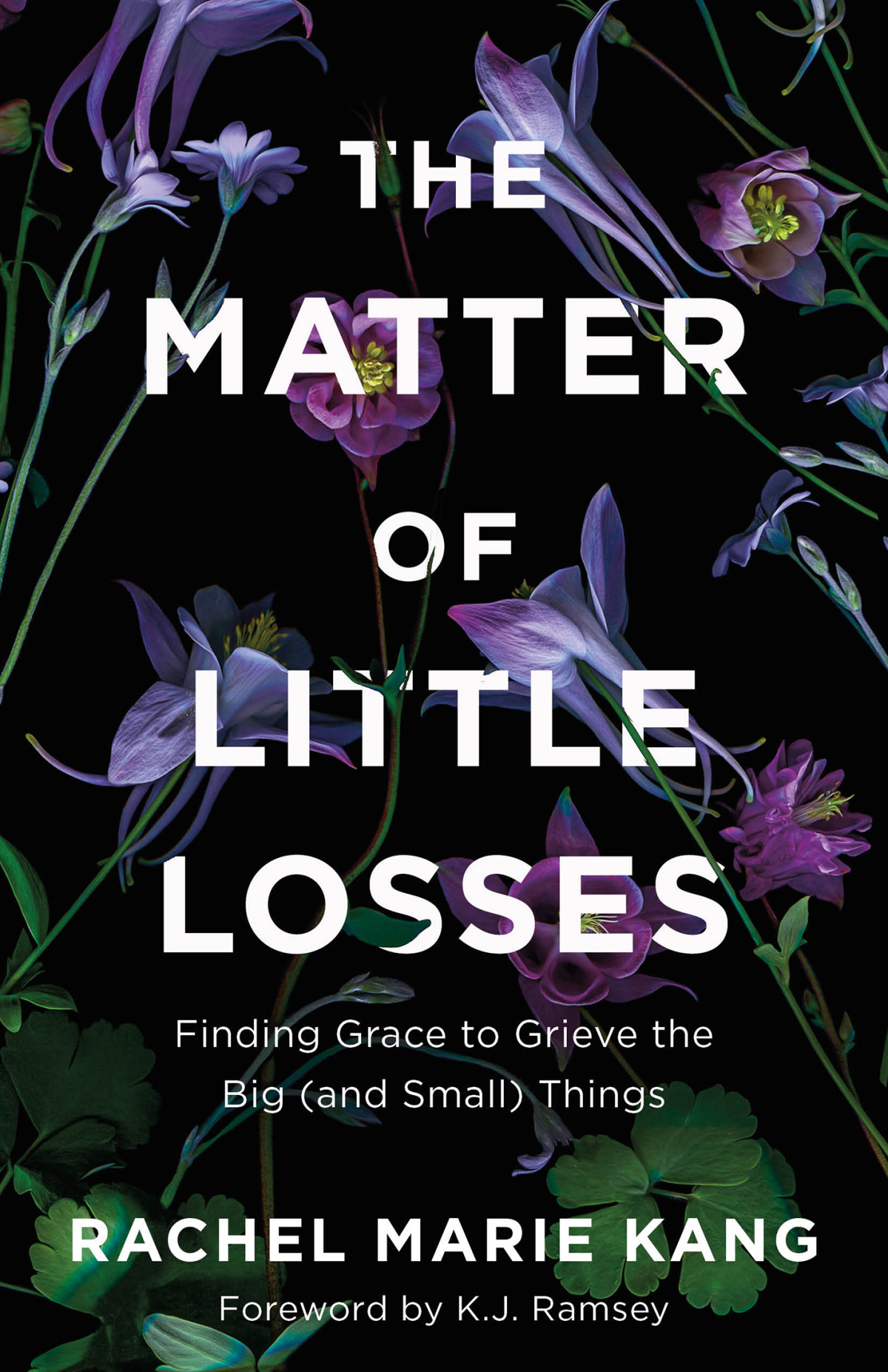 The Matter Of Little Losses Rachel Marie Kang