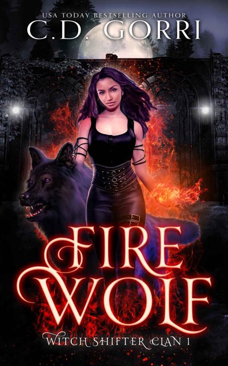 Fire Wolf A Witch Shifter Paranormal Romance Witch Shifter Clan Book 1 Cd Gorri