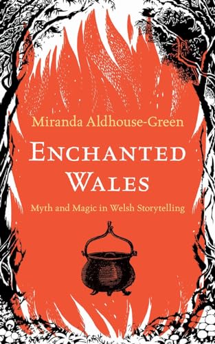 Enchanted Wales Myth And Magic In Welsh Storytelling 1st Edition Aldhousegreen