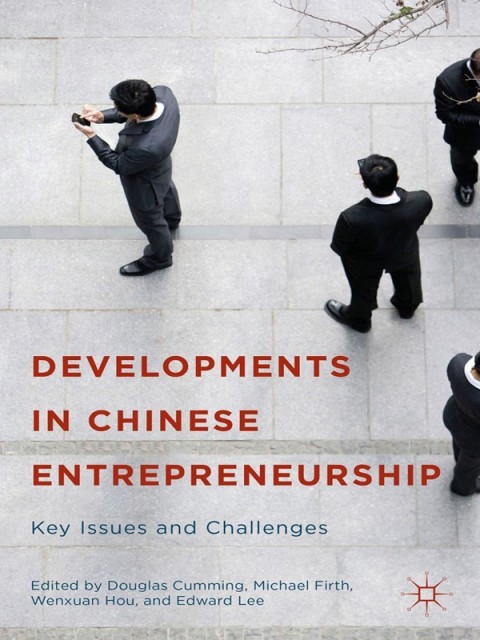 Developments In Chinese Entrepreneurship 2015th Edition Brendan Brown