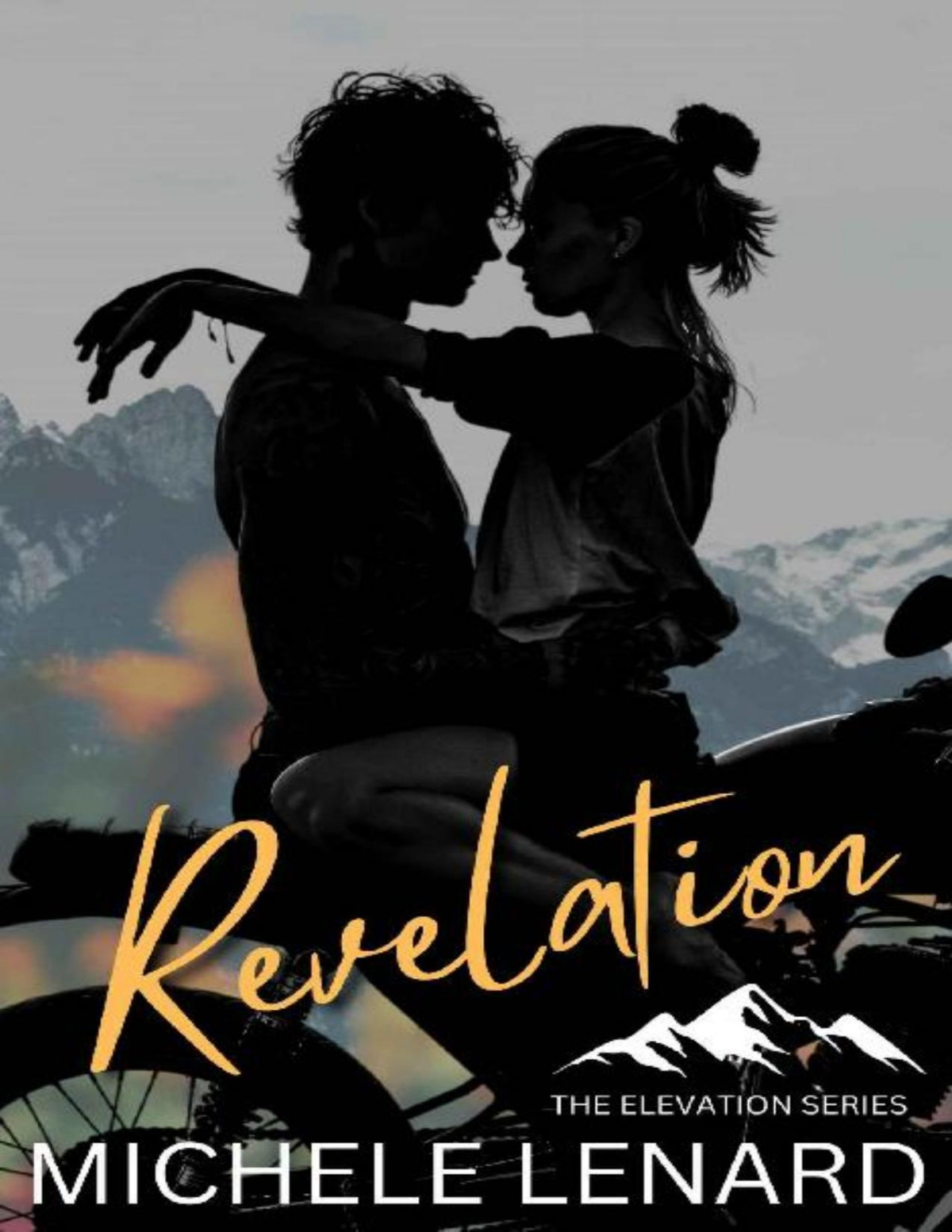 Revelation A Steamy One Night Turned More Romance Elevation Book 3 Michele Lenard