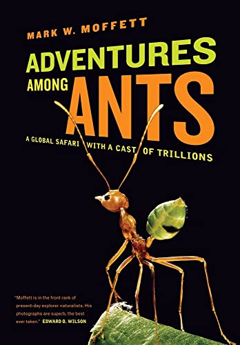 Adventures Among Ants A Global Safari With A Cast Of Trillions First Edition Moffett