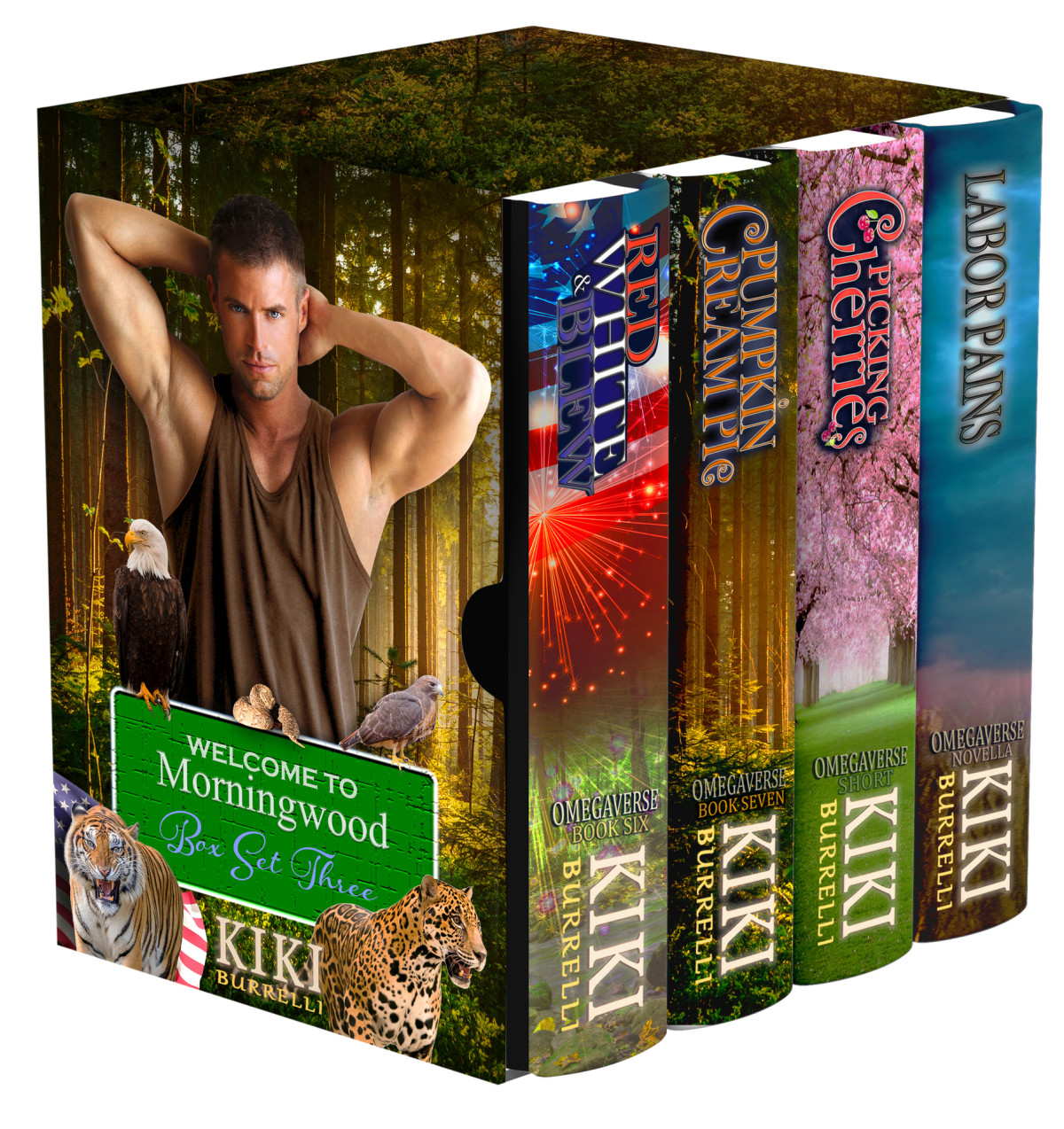 Welcome To Morningwood Box Set Three Burrelli Kiki