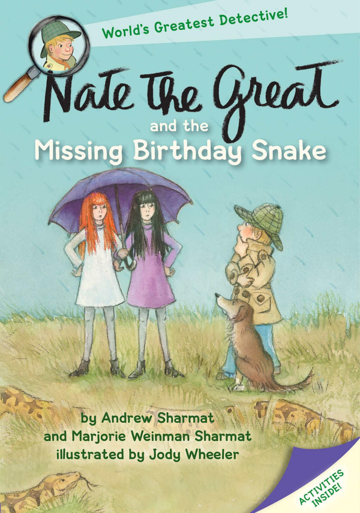 Nate The Great And The Missing Birthday Snake Illustrated Andrew Sharmat