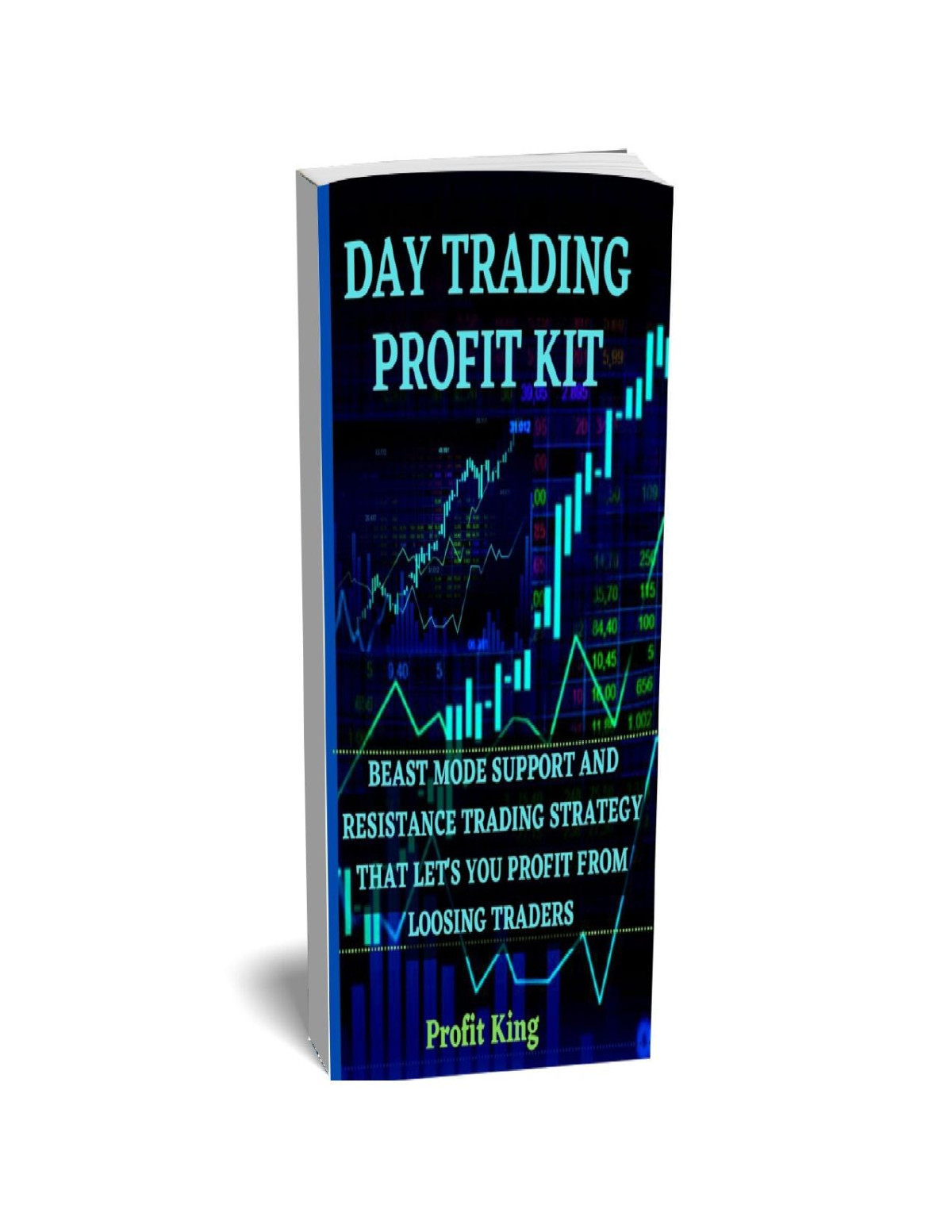 Day Trading Profit Kit Using Price Action Support Resistance Secrete Support And Resistance Trading Strategy That Allows You Profit From Losing Traders King