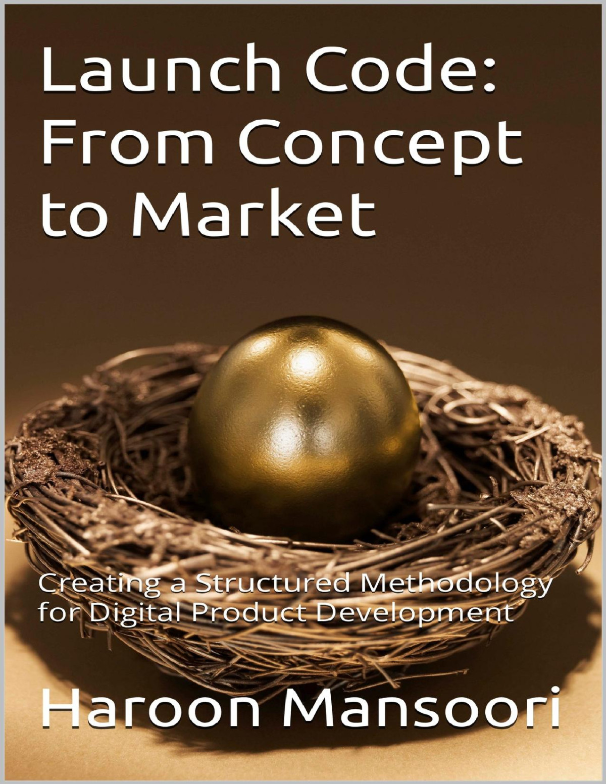 Launch Code From Concept To Market Creating A Structured Methodology For Digital Product Development Mansoori