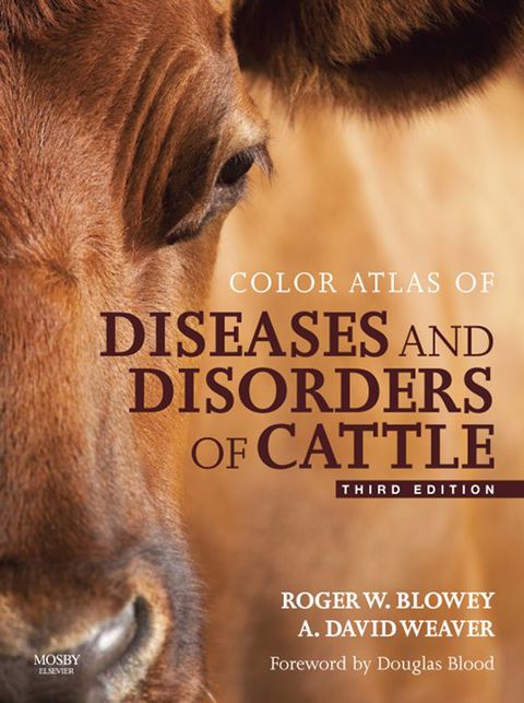 Color Atlas Of Diseases And Disorders Of Cattle Elsevieron Vitalsource 3rd Edition Blowey