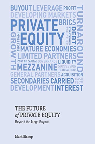 The Future Of Private Equity Beyond The Mega Buyout 1st Ed 2012 Bishop