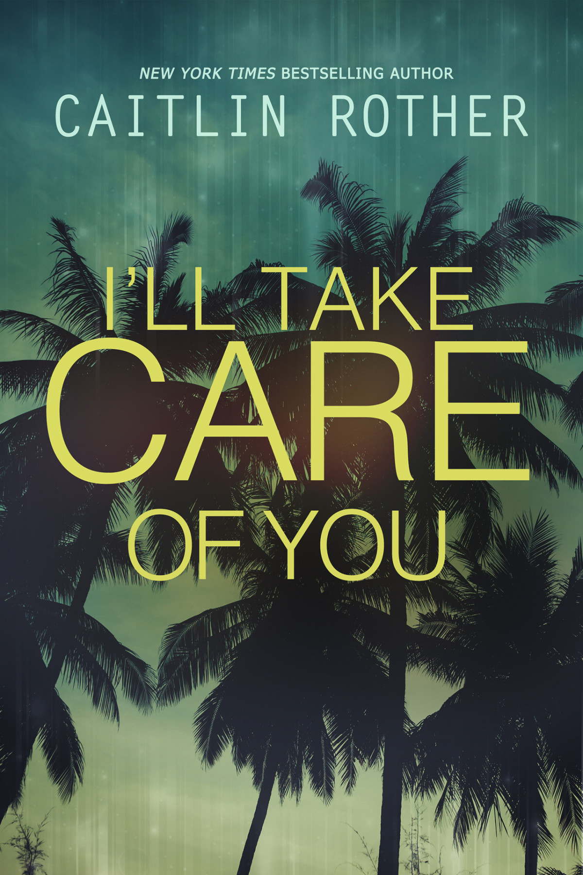 Ill Take Care Of You Caitlin Rother