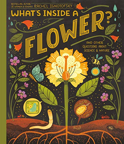 Whats Inside A Flower And Other Questions About Science Nature Illustrated Rachel Ignotofsky
