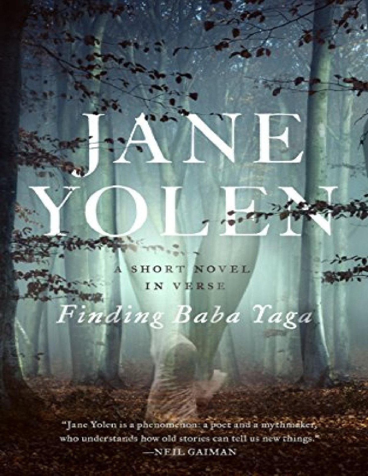 Finding Baba Yagaa Short Novel In Verse Jane Yolen