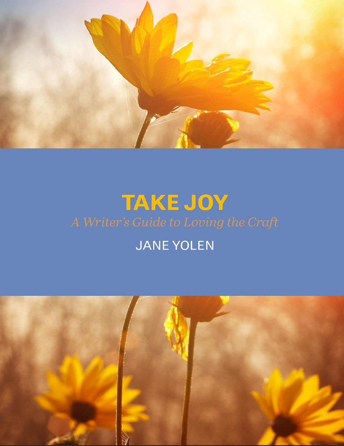 Take Joy A Writers Guide To Loving The Craft Jane Yolen