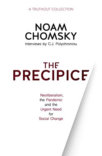 The Precipice Neoliberalism The Pandemic And The Urgent Need For Social Change Chomsky