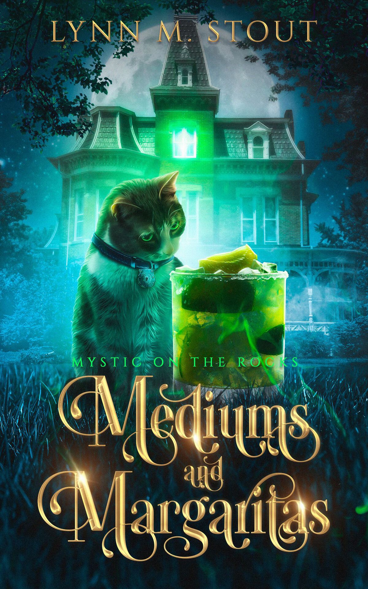 Mediums And Margaritas A Paranormal Cozy Mystery Lynn M Stout