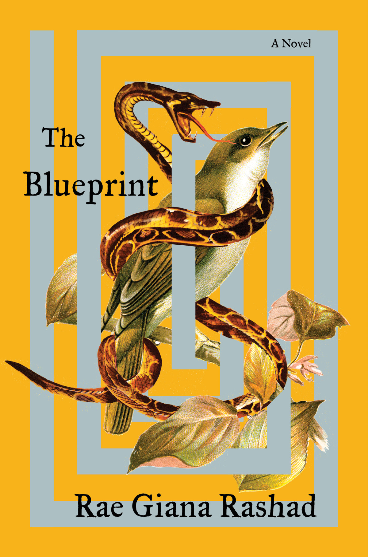 The Blueprint Rae Giana Rashad