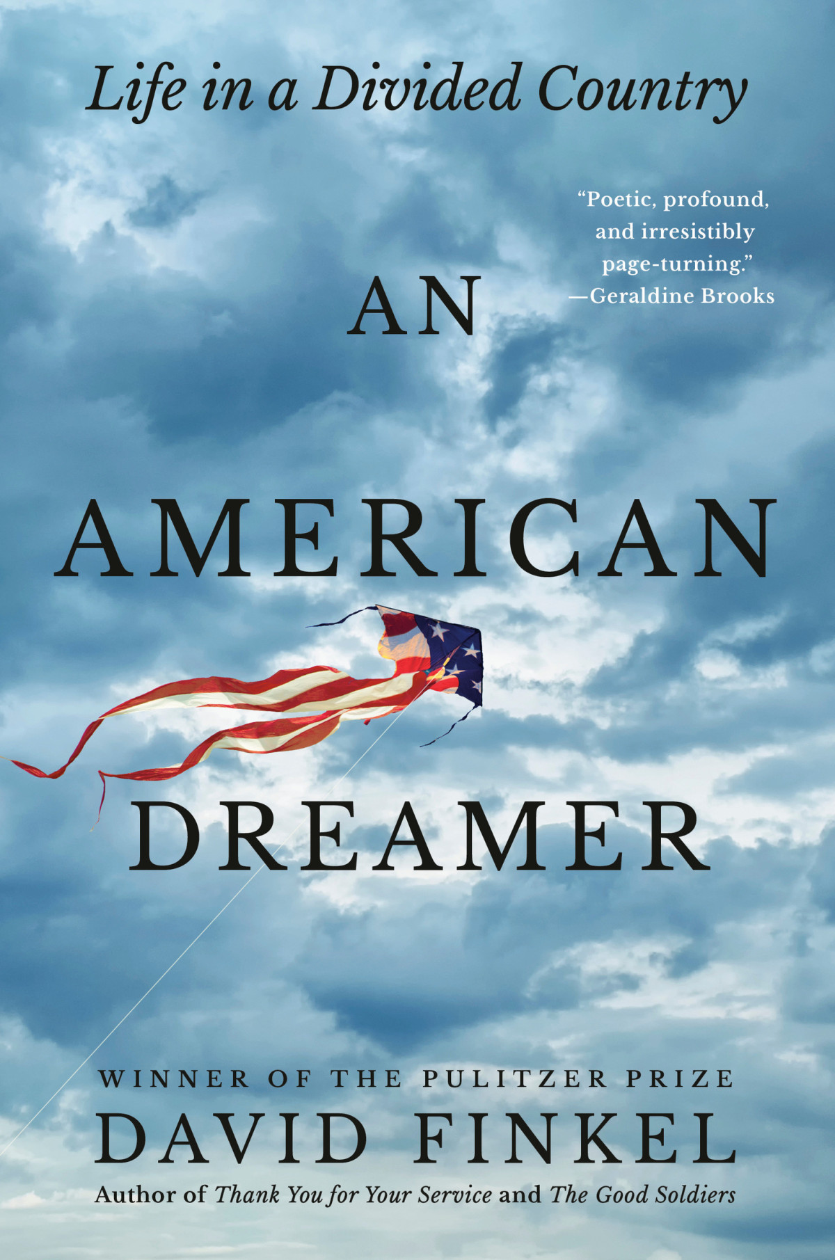 An American Dreamer Life In A Divided Country David Finkel
