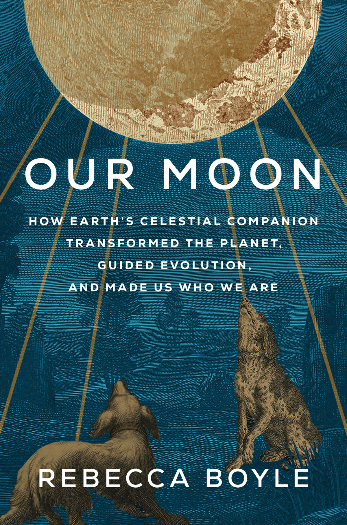 Our Moon How Earths Celestial Companion Transforms The Planet Guided Evolution And Made Us Who We Are Rebecca Boyle