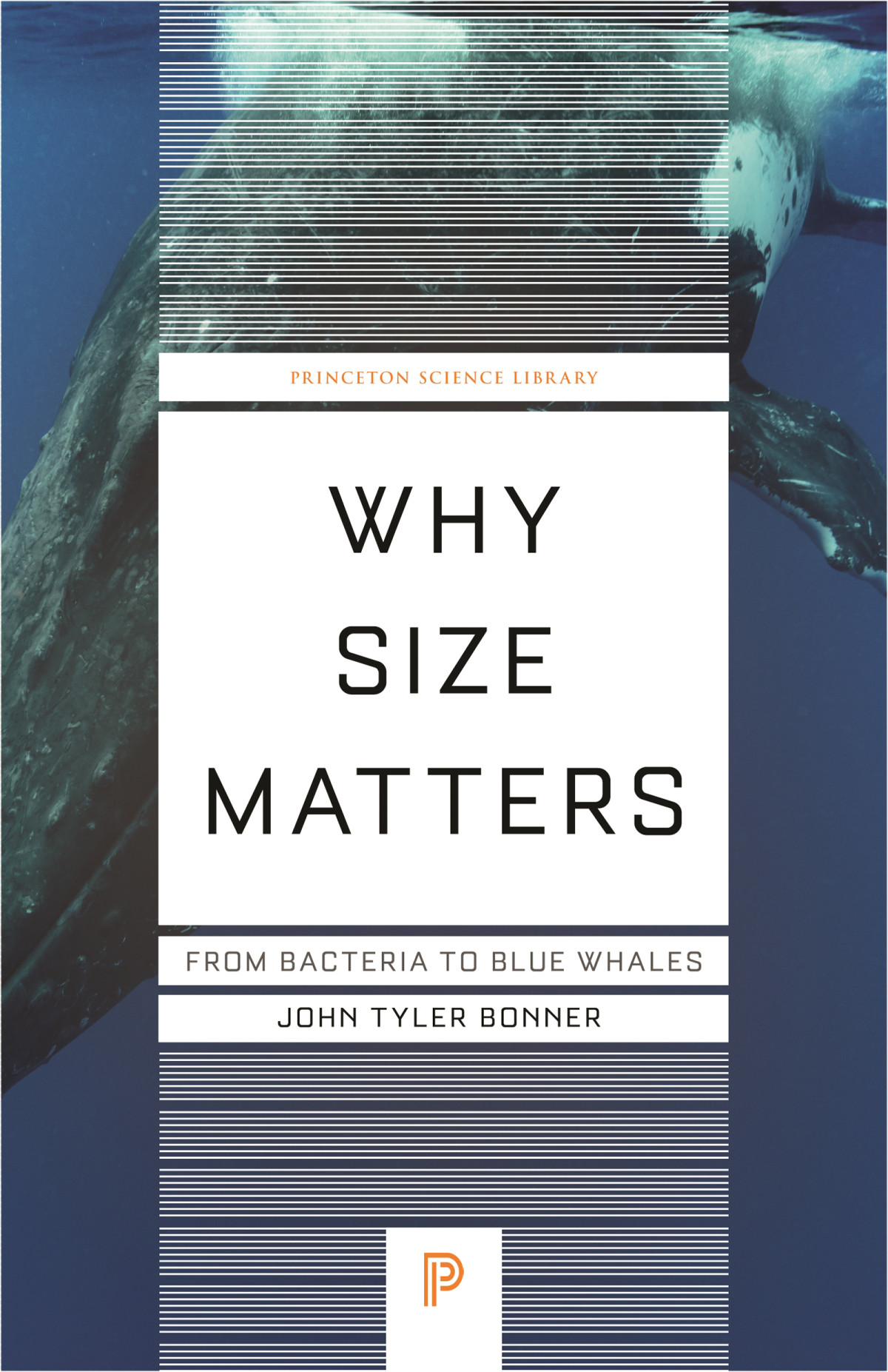 Why Size Matters From Bacteria To Blue Whales 1st Edition John Tyler Bonner