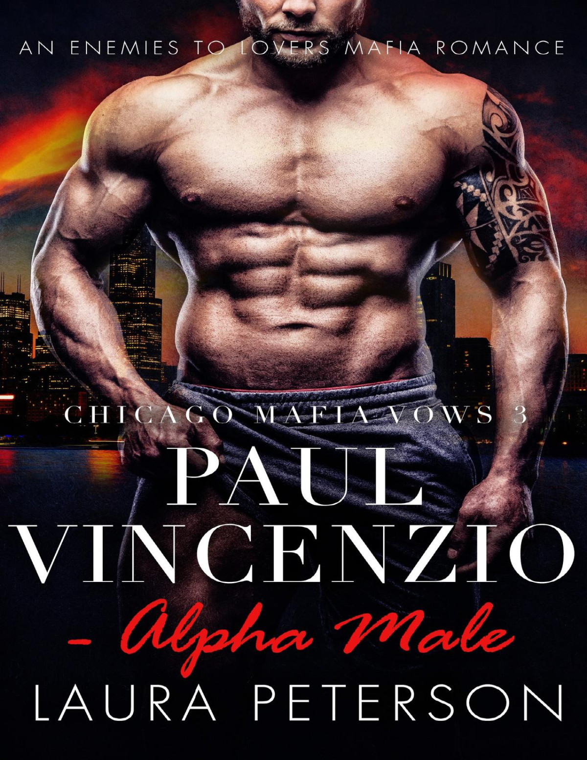 Paul Vincenzio Alpha Male Chicago Mafia Vows Book 3 An Enemies To Lovers Mafia Romance Laura Peterson
