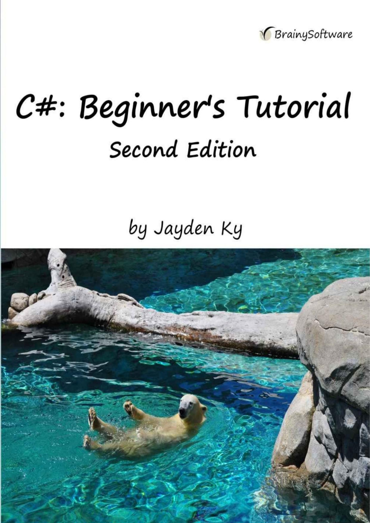 C A Beginners Tutorial Second Edition Jayden Ky
