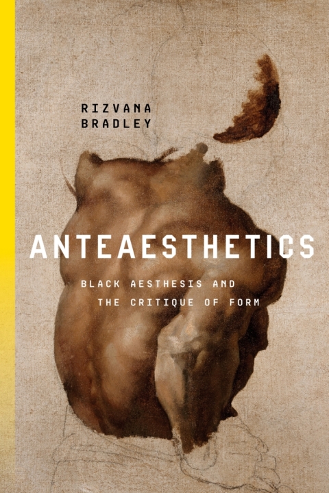 Anteaesthetics Black Aesthesis And The Critique Of Form 1st Edition Rizvana Bradley