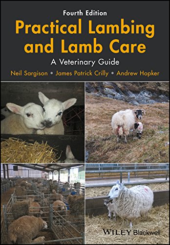 Practical Lambing And Lamb Care A Veterinary Guide 4th Edition Sargison