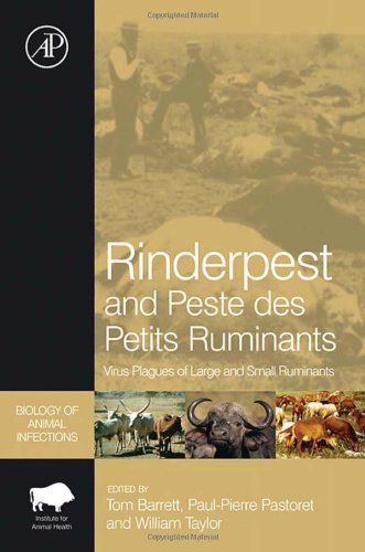 Rinderpest And Peste Des Petits Ruminants Virus Plagues Of Large And Small Ruminants Biology Of Animal Infections 1st Edition Taylor