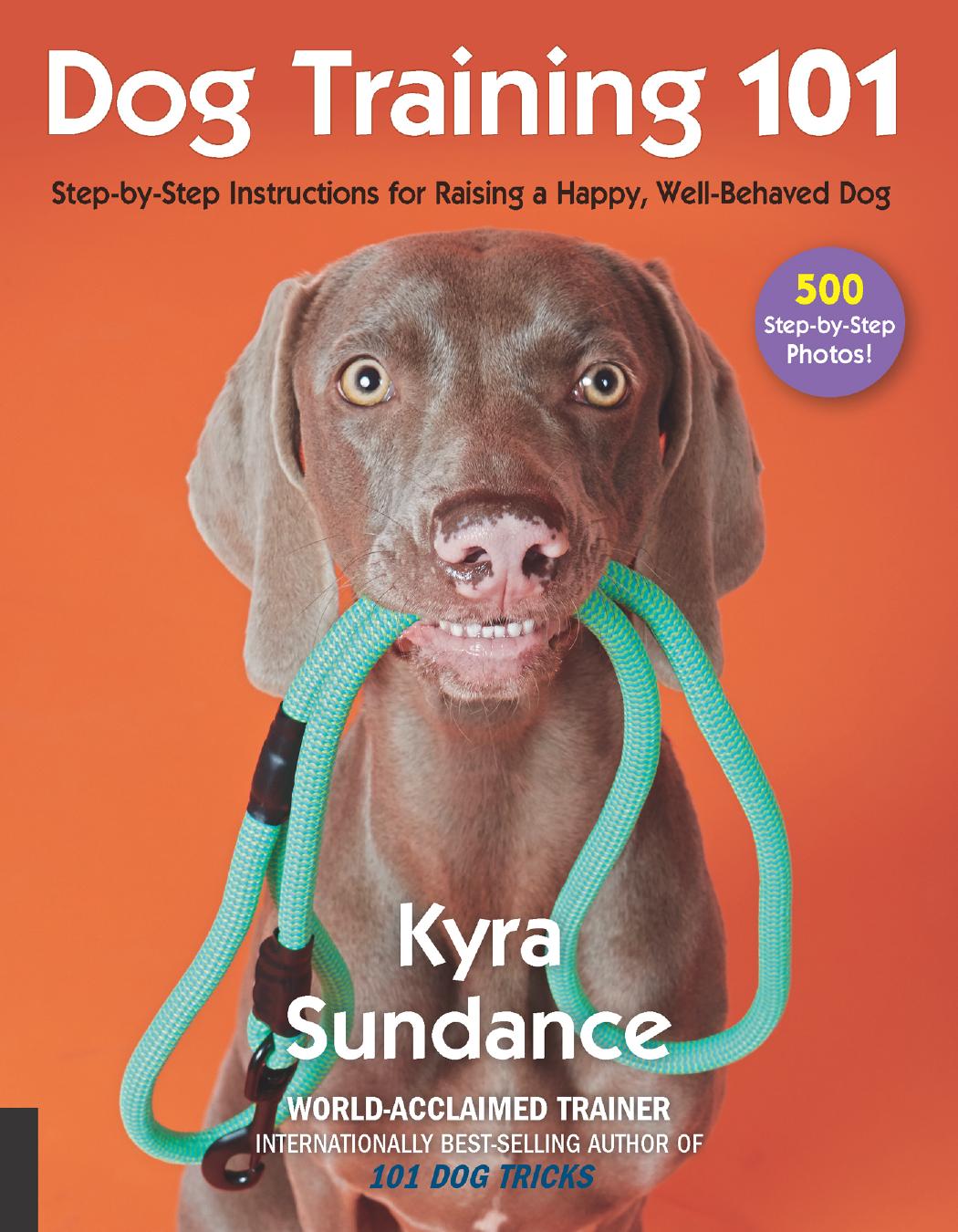 Dog Training 101 Kyra Sundance