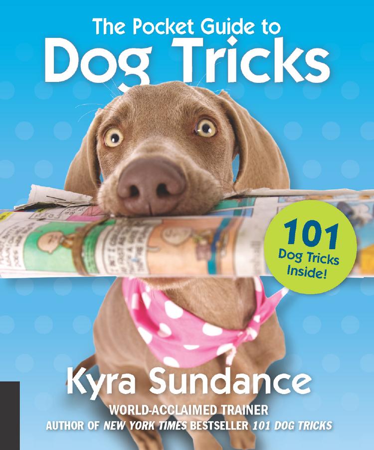 The Pocket Guide To Dog Tricks 1st Edition Kyra Sundance