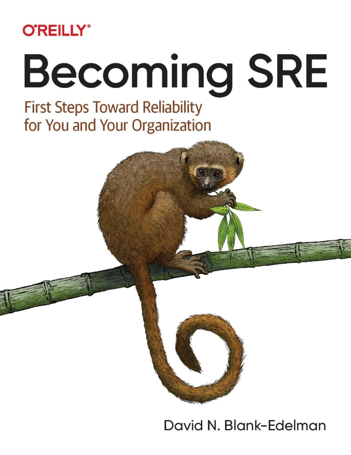Becoming Sre First Steps Toward Reliability For Your And Your Organization 1 Converted David N Blankedelman