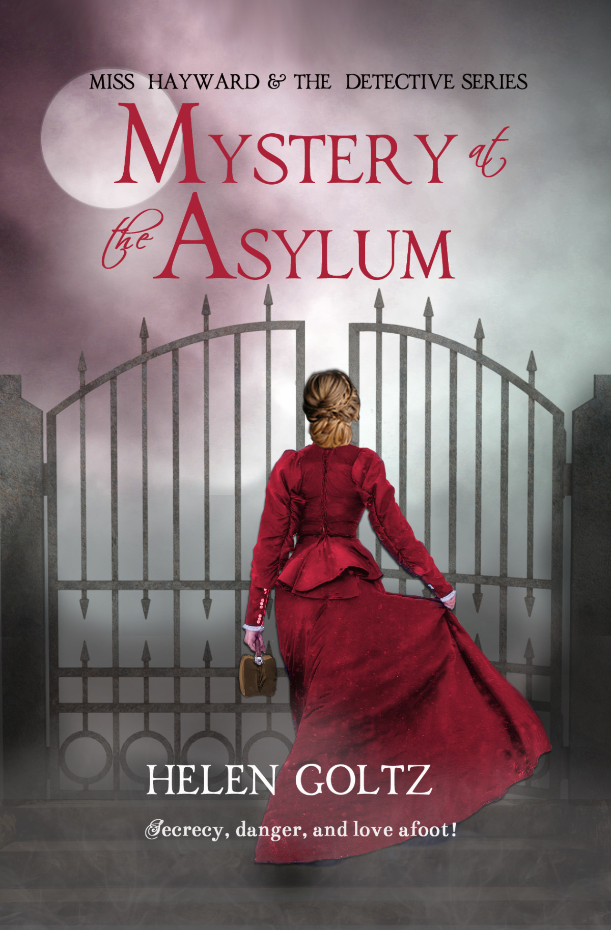 Mystery At The Asylum Miss Hayward The Detective Series Book 3 Goltz