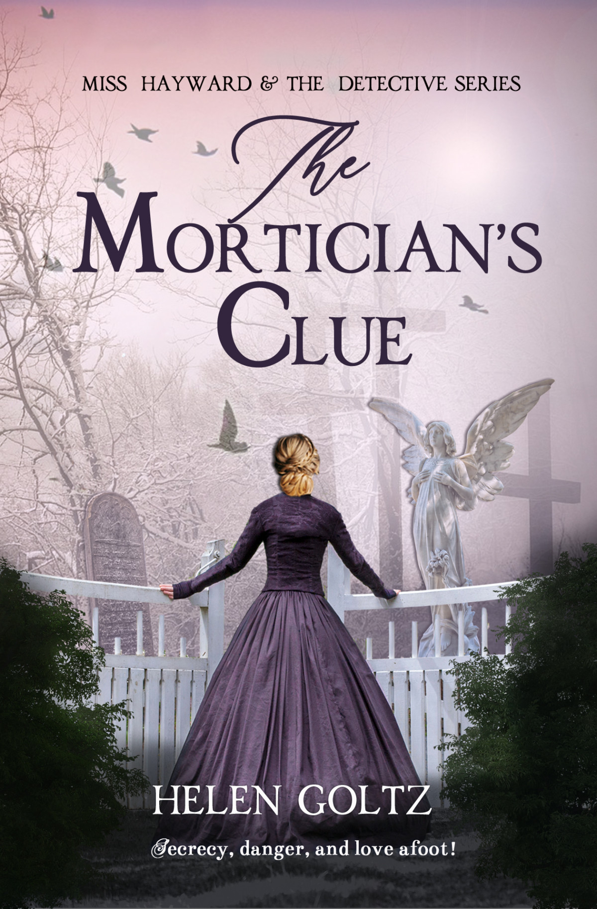 The Morticians Clue Miss Hayward The Detective Series Book 4 Goltz
