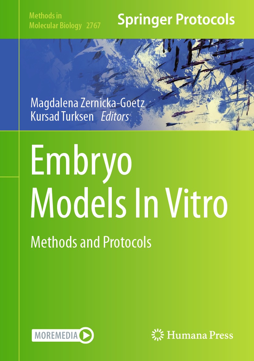 Embryo Models In Vitro Magdalena Zernickagoetz Kursad Turksen