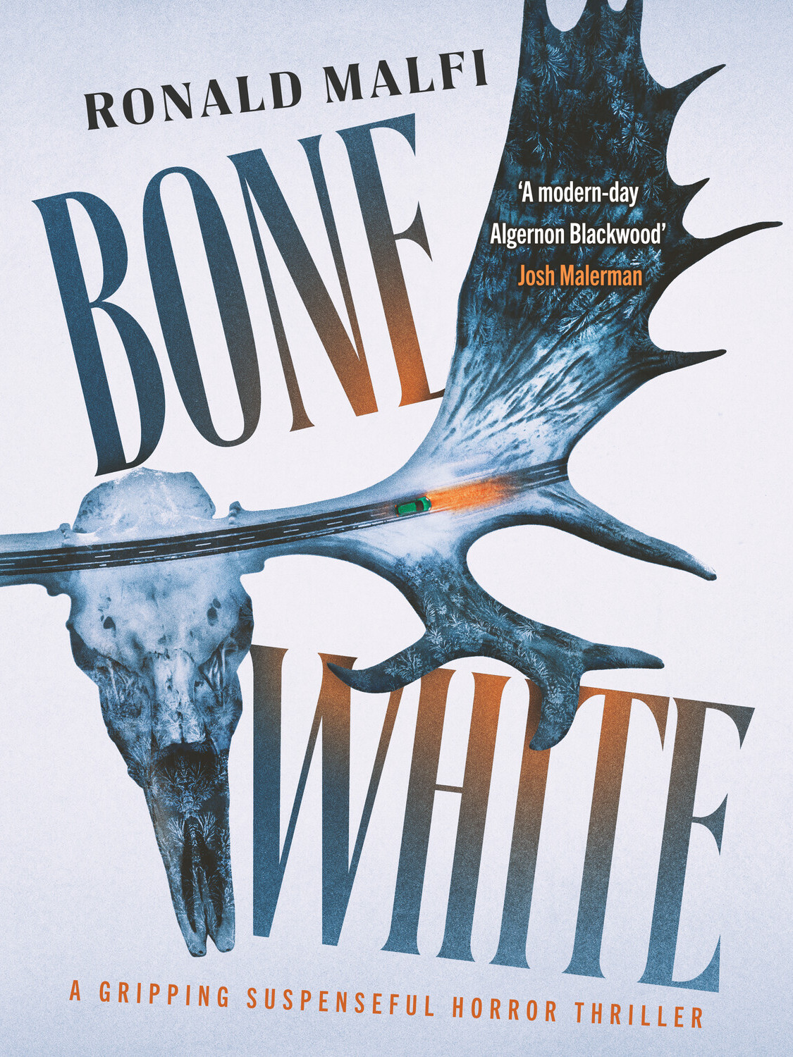 Bone White Ronald Malfi
