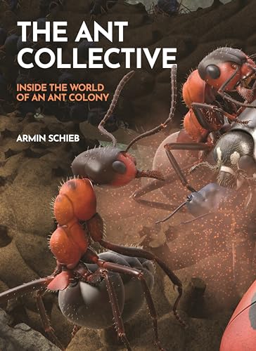 The Ant Collective Inside The World Of An Ant Colony Schieb