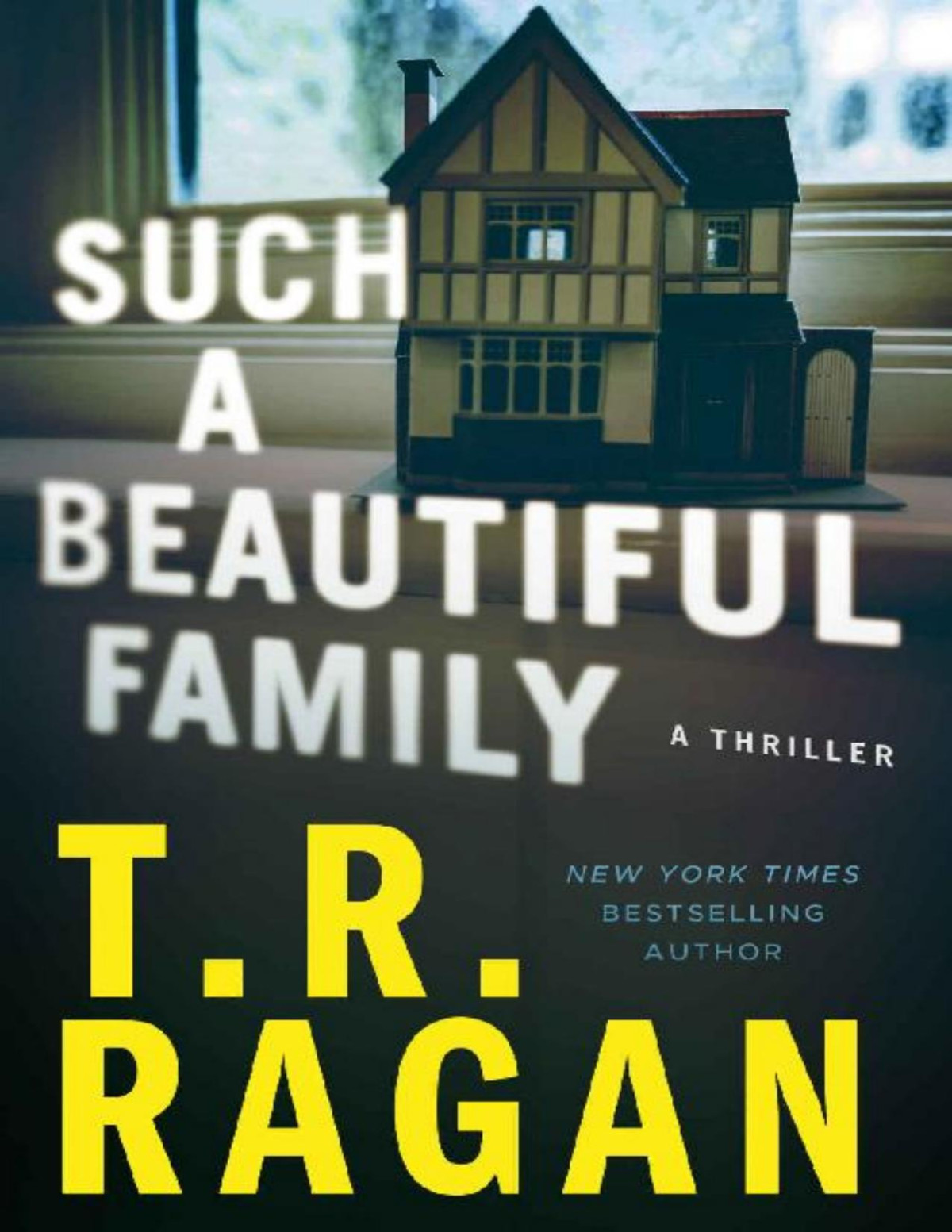 Such A Beautiful Family A Thriller Ragan Tr